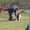 agilty 2013-03-03