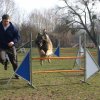 agilty 2013-03-03