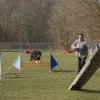 agilty 2013-03-03