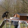 agilty 2013-03-03