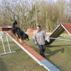 agilty 2013-03-03