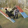 agilty 2013-03-03