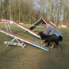 agilty 2013-03-03