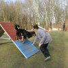 agilty 2013-03-03