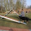 agilty 2013-03-03