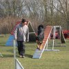 agilty 2013-03-03