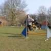 agilty 2013-03-03