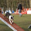 agilty 2013-03-03