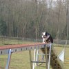 agilty 2013-03-03