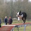 agilty 2013-03-03