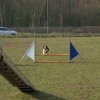agilty 2013-03-03