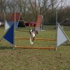 agilty 2013-03-03