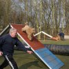 agilty 2013-03-03