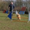 agilty 2013-03-03