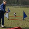 agilty 2013-03-03