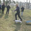 agilty 2013-03-03