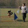 agilty 2013-03-03