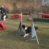 agilty 2013-03-03