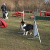 agilty 2013-03-03