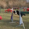 agilty 2013-03-03
