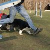 agilty 2013-03-03