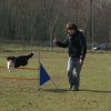 agilty 2013-03-03