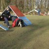 agilty 2013-03-03