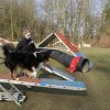 agilty 2013-03-03