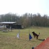 agilty 2013-03-03
