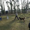 agilty 2013-03-03