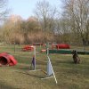 agilty 2013-03-03