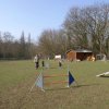 agilty 2013-03-03
