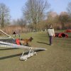 agilty 2013-03-03