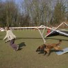 agilty 2013-03-03