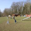 agilty 2013-03-03