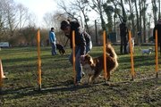 entrainement 02-03-2014