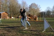 entrainement 02-03-2014