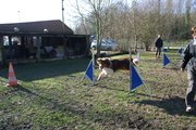 entrainement 02-03-2014
