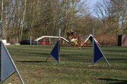 entrainement 02-03-2014