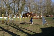 entrainement 02-03-2014