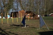 entrainement 02-03-2014