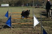entrainement 02-03-2014