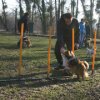 entrainement 02-03-2014