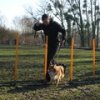 entrainement 02-03-2014