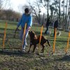 entrainement 02-03-2014