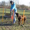 entrainement 02-03-2014