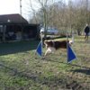 entrainement 02-03-2014