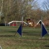entrainement 02-03-2014