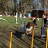 entrainement 02-03-2014