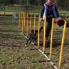entrainement 02-03-2014